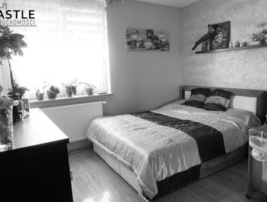 Zdjęcie 14980052