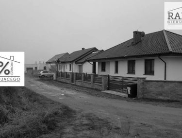 Zdjęcie 14982649
