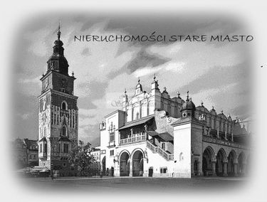 Zdjęcie 14984081