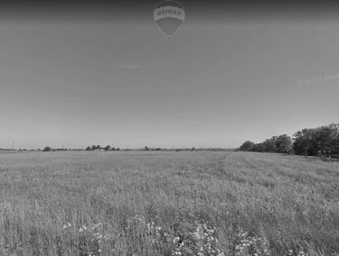 Zdjęcie 14984416