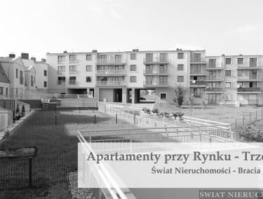 Zdjęcie 14984478