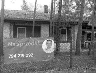 Zdjęcie 14985376