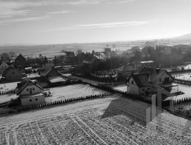 Zdjęcie 14985564