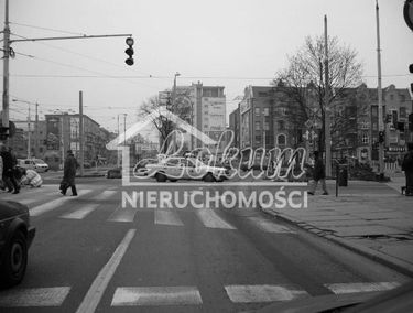 Zdjęcie 14985725
