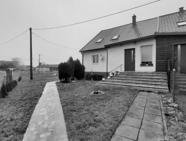 Zdjęcie 14985832