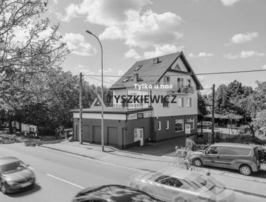 Zdjęcie 14985843