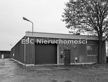 Zdjęcie 14986371