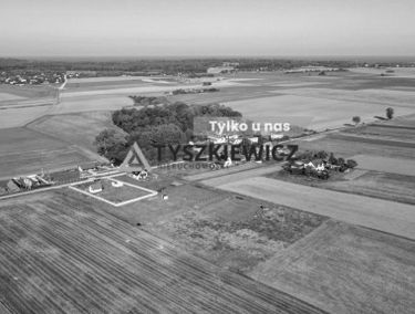Zdjęcie 14986448