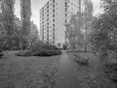 Zdjęcie 14988308