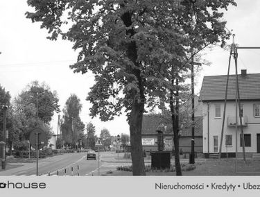 Zdjęcie 14988729