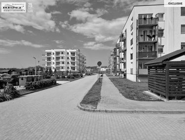 Zdjęcie 14989383