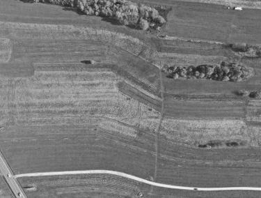 Zdjęcie 14989539