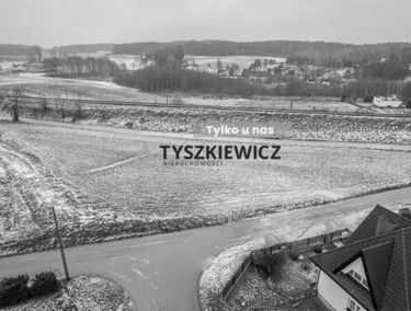 Zdjęcie 14989939