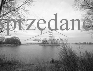Zdjęcie 14990182