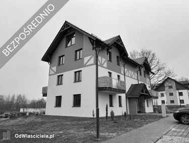 Zdjęcie 14990207