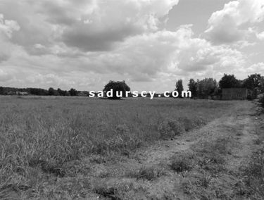 Zdjęcie 14992768