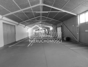Zdjęcie 14992936
