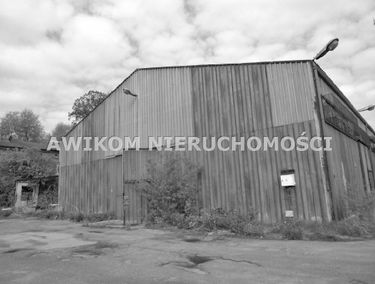 Zdjęcie 14993042