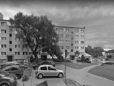 Zdjęcie 14993349