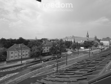 Zdjęcie 14993648