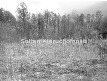 Zdjęcie 14994378
