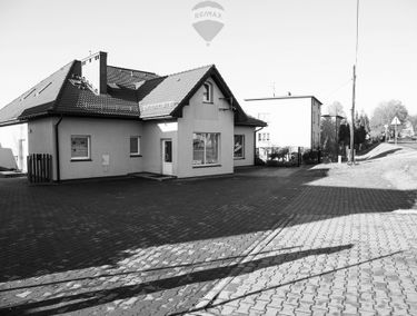 Zdjęcie 14994611