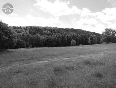 Zdjęcie 14995413