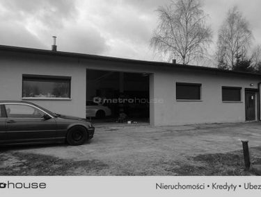 Zdjęcie 14996222