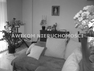 Zdjęcie 14996503