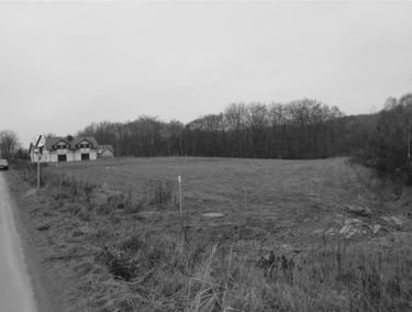 Zdjęcie 14996921
