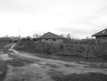 Zdjęcie 14997194