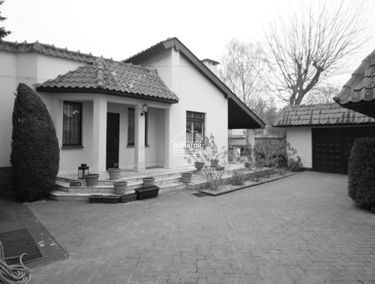 Zdjęcie 14998106