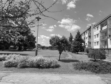 Zdjęcie 14998962