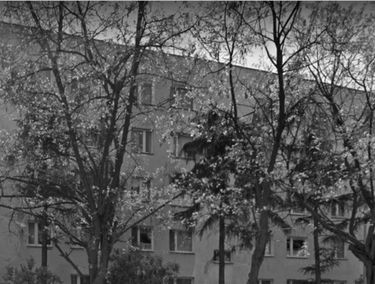 Zdjęcie 14999063