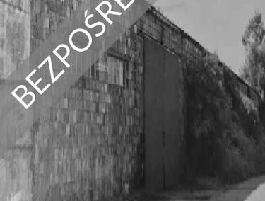 Zdjęcie 14999890