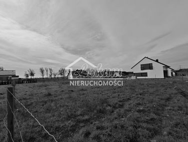 Zdjęcie 15000072
