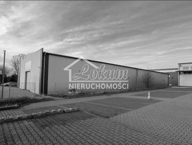 Zdjęcie 15000514