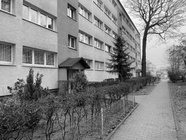 Zdjęcie 15000573