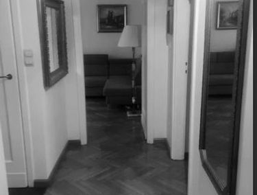 Zdjęcie 15000955
