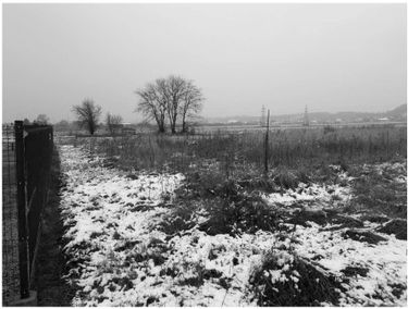 Zdjęcie 15001428