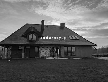 Zdjęcie 15002919