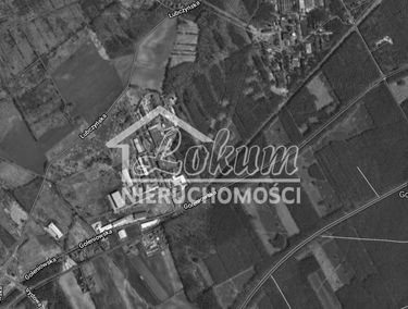 Zdjęcie 15003641