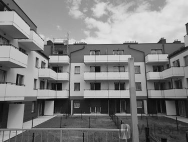Zdjęcie 15003844