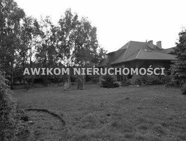 Zdjęcie 15004137