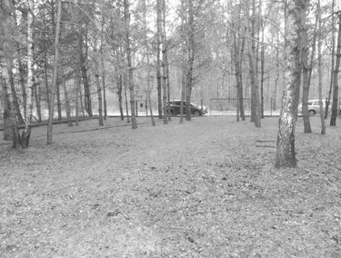 Zdjęcie 15004150