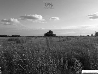 Zdjęcie 15005508