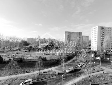 Zdjęcie 15005649