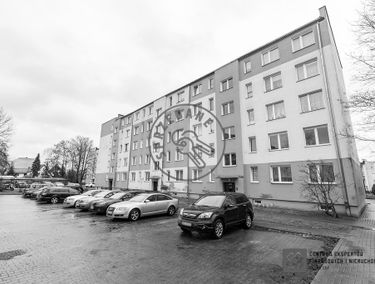 Zdjęcie 15005703
