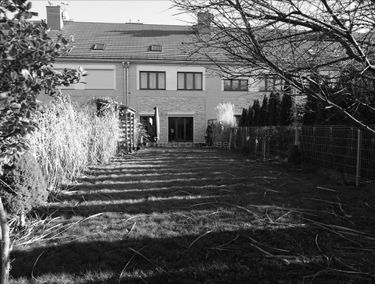 Zdjęcie 15005959
