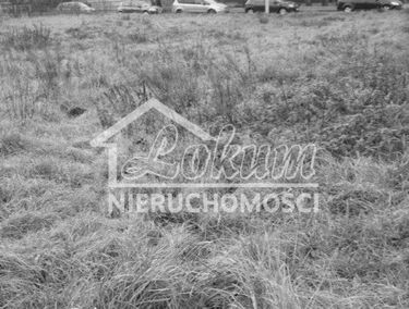 Zdjęcie 15005998